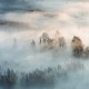 Фототапет Премиум Мъгливо утро