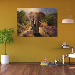 Фототапет Премиум Слон