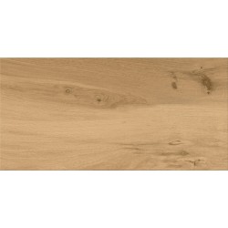 Гранитогрес Ашвил 