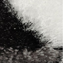 КИЛИМ - ШАГИ PANAMA 131614