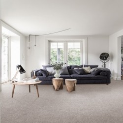 Мокет Commodus 96