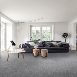 Мокет Commodus 92