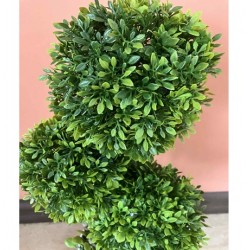 Декоративно Растение