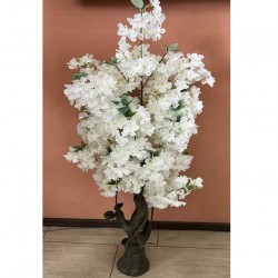 Декоративно Растение