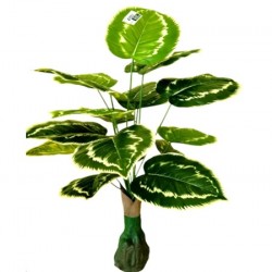 Декоративно Растение