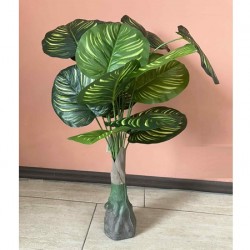 Декоративно Растение