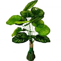 Декоративно Растение