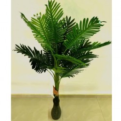 Декоративно Растение