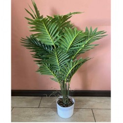 Декоративно Растение