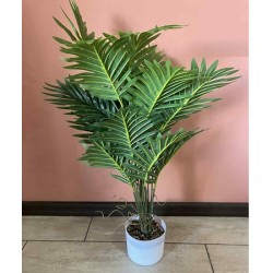 Декоративно Растение