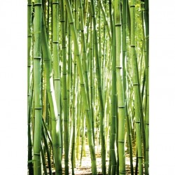 Пано А36901 Пано А36901