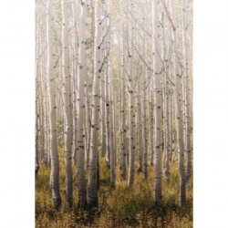 Пано А42601 Пано А42601