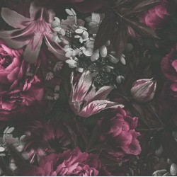 Тапет флис Pintwalls 385094