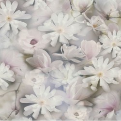 Тапет флис Pintwalls 387223