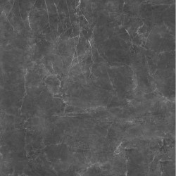 Винил SPC 23033-2