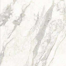 Винил SPC 23139-1