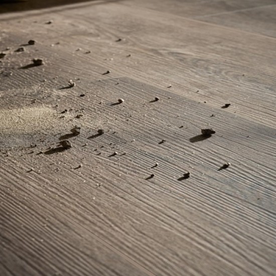 Винил Rigio Oak lunar